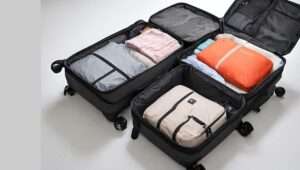 Packing Cubes 2024