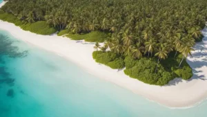 Crooked Island Beach Attractions